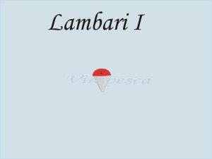 Lb1
