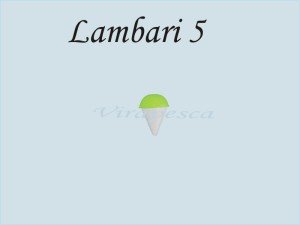 Lb5
