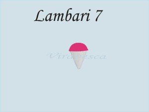 Lb7